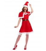 Adult Costume - Ladies' Miss Santa Dress