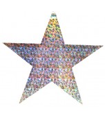Cardboard Cutouts - Star, Silver Holographic 80 mm 12 pk