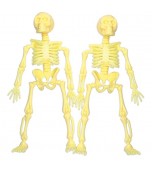 Party Favours - Halloween Mini Skeletons 2 pk