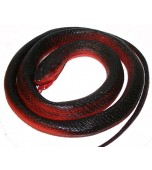 Toy Animal - Snake, Black & Red