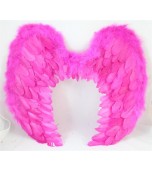Wings - Hot Pink Feather