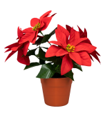 Decorative Flowers - Poinsettia in Pot, 4 flowers 23 cm